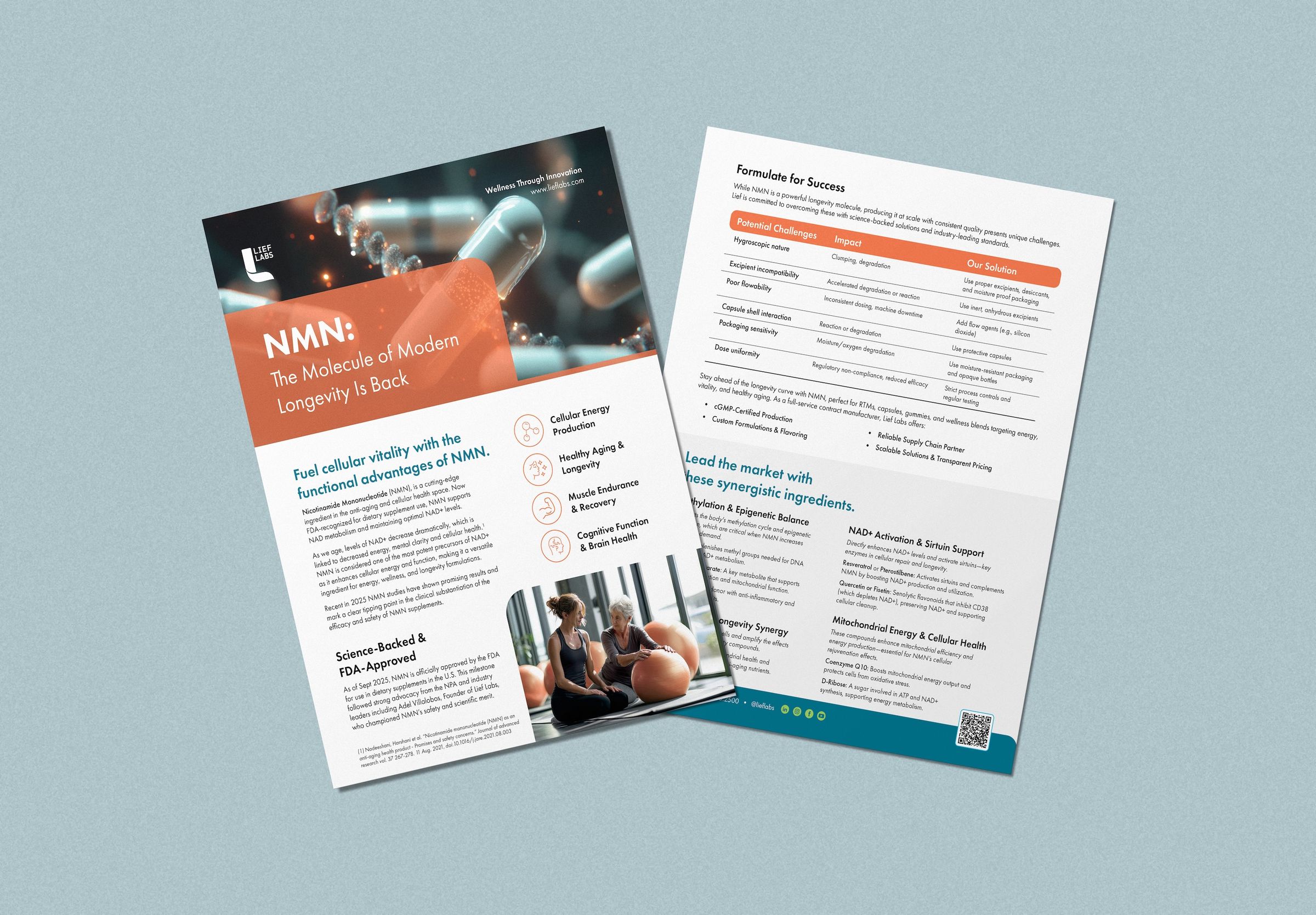 Lief Labs NMN flyer