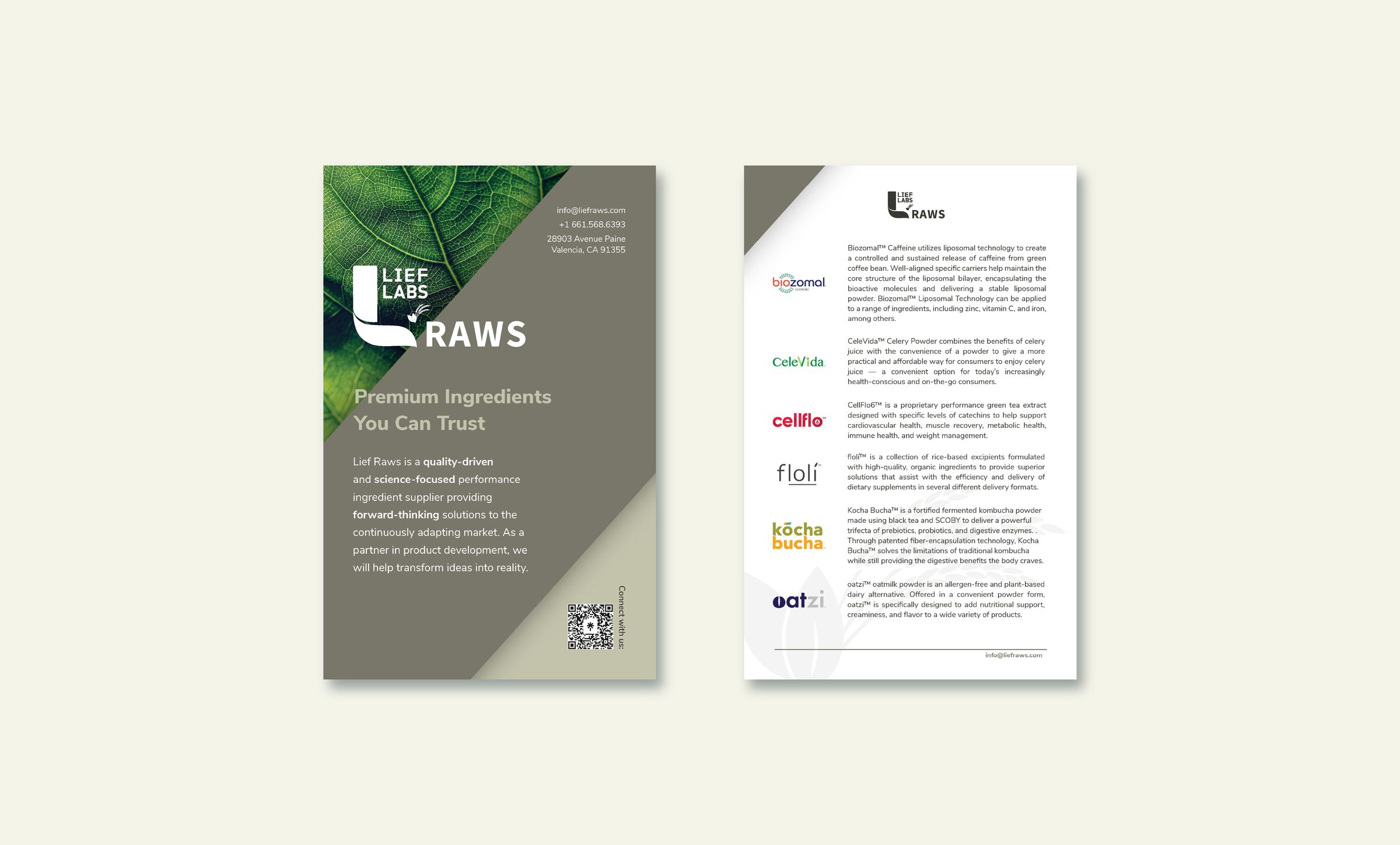 Lief Raws ingredient collateral — flyer, front and back, with the full ingredient line